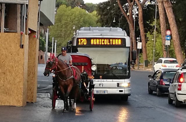 ローマ　バス
