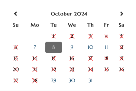 ノイシュバンシュタイン城　予約画面　訪問日選択