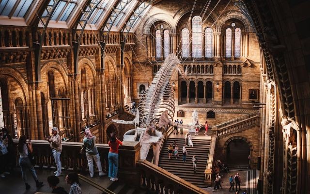 ロンドン自然史博物館